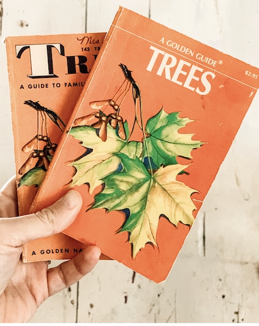 A set of two vintage books with a leaf on the cover used for fall decor.