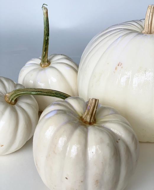 4 white pumpkins with adhesive waiting for it to dry