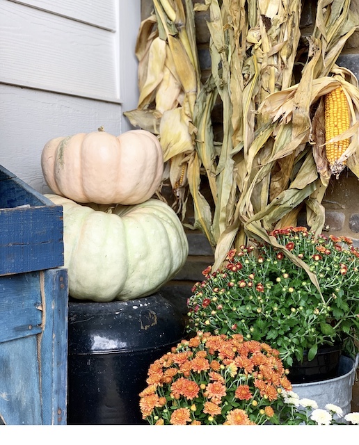 corn stalks and flowers and pumpkins on a front porch