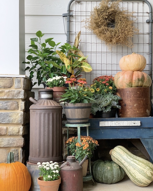 A fall display with flowers, pumpkins, and rusty gas cans