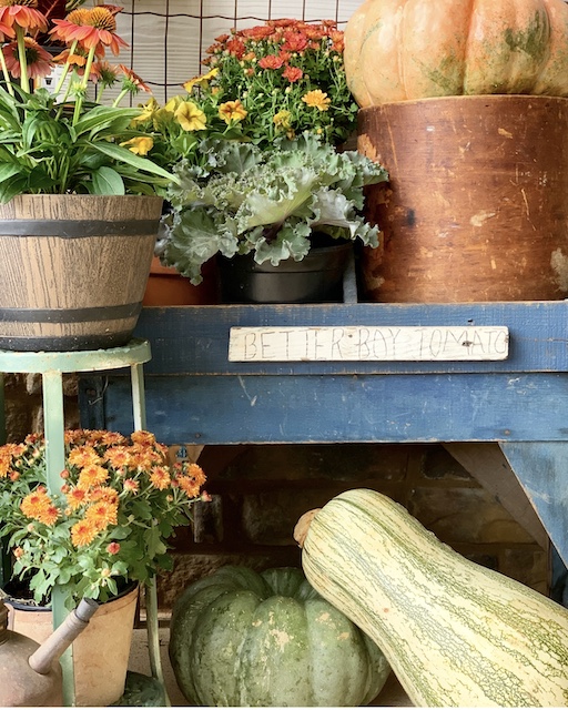 a tomato stand filled with flowers and pumpkins
