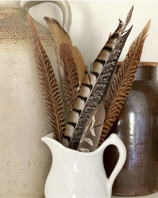 feathers sitting in a creamer as decor