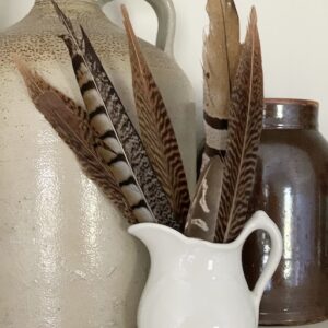 feathers in an ironstone pitcher for fall