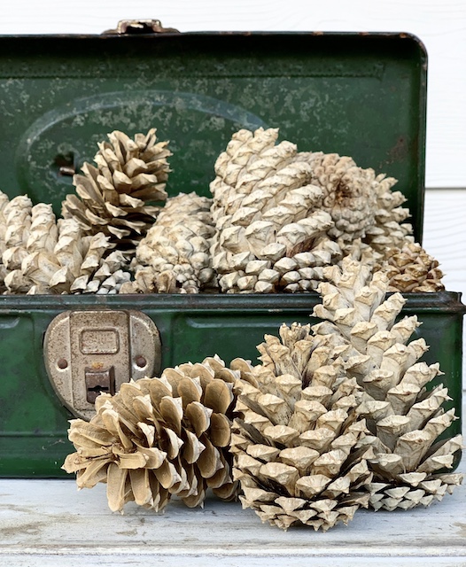 bleached pinecones for fall 