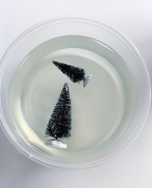 two trees in bleach water