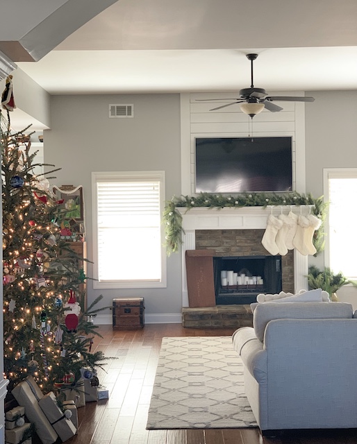 long view of our mantle