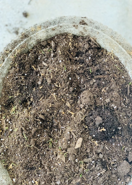 a planter full of dirt