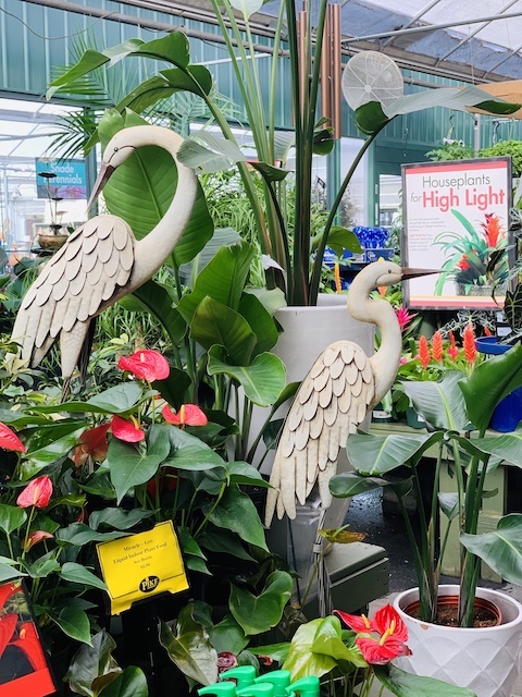 A capture from Pikes Nursery of some metal birds and plants