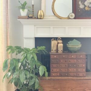 fireplace with plants