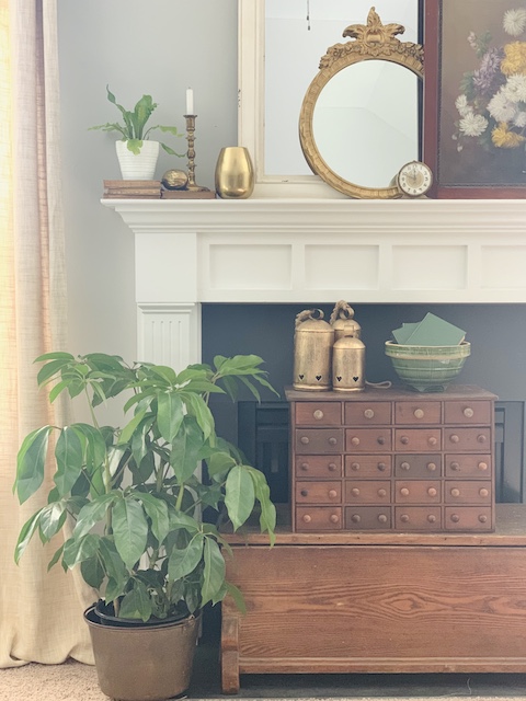 fireplace with plants