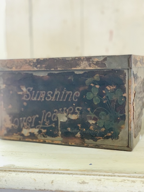 side view of clover tin