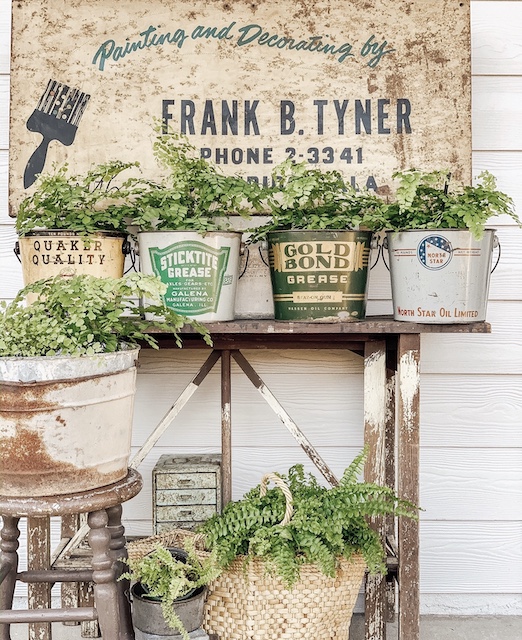 many old buckets used to hold plants