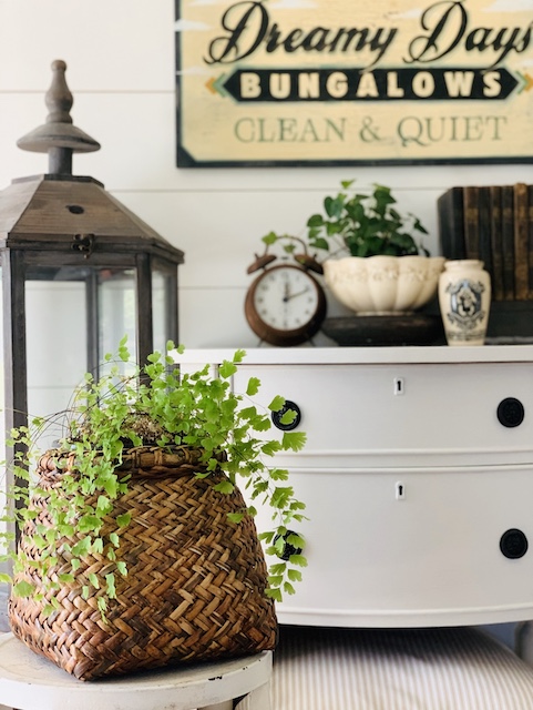 a basket in my room that is holding a plant