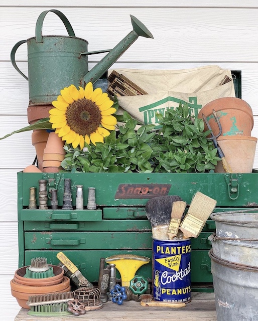 vintage tool box filled with a cool plant