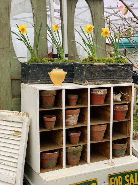 cubbies full of pots at the pasture sale