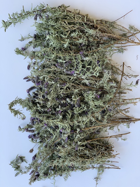 stems of lavender after cutting it back