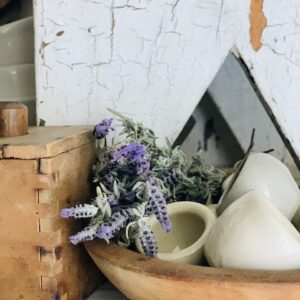 dried cuttings of lavender