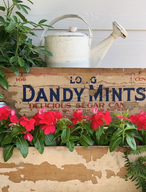 an old Dandy Mints Box 