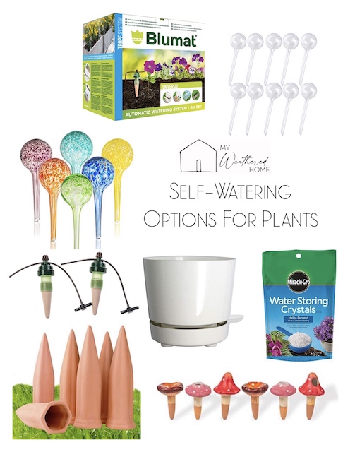 self watering options