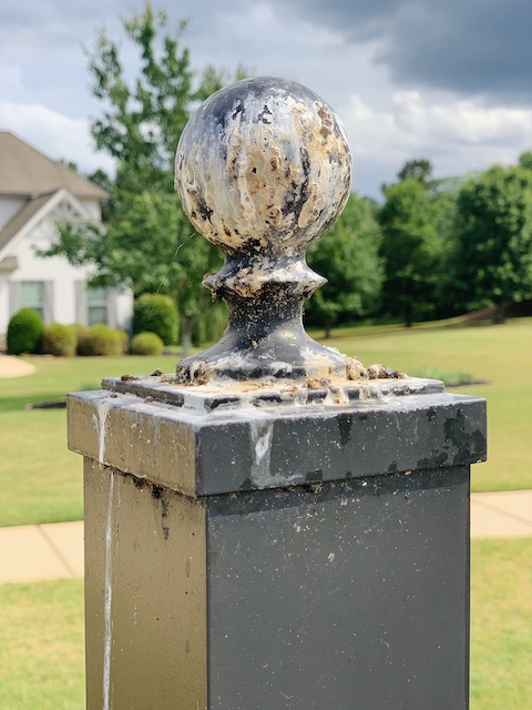 a mailbox with a lot of bird poop on top