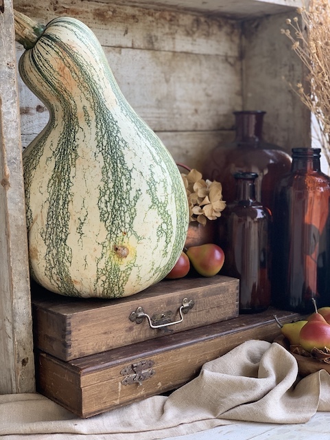 a picture of a fall gourd all decked out fo rfall