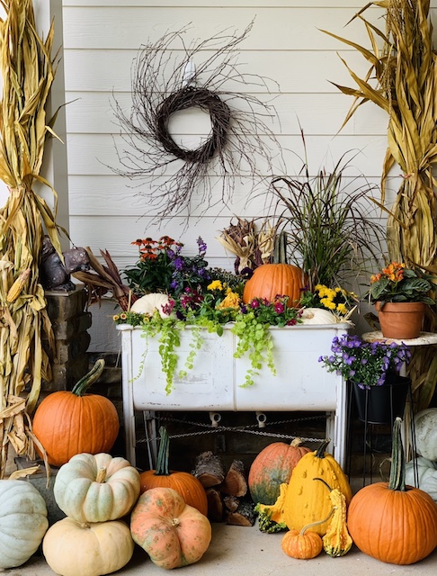 The final view of my fall container garden with all of my pumpkins and corn stalk surrounding it