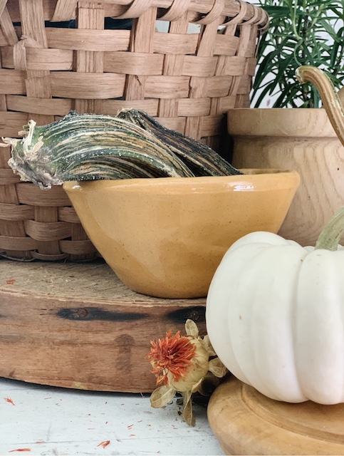 pumpkin stems up close by basket