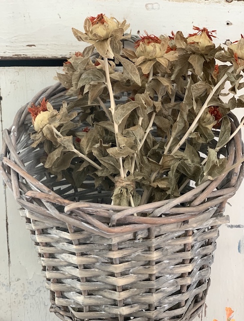 the basket full of safflower