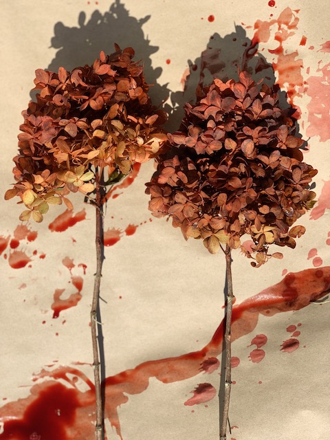blooms drying on craft paper