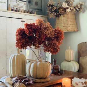 rit dye used to color these hydrangeas