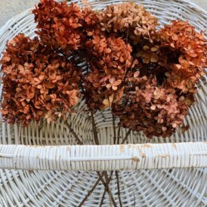 all the colored blooms on a basket