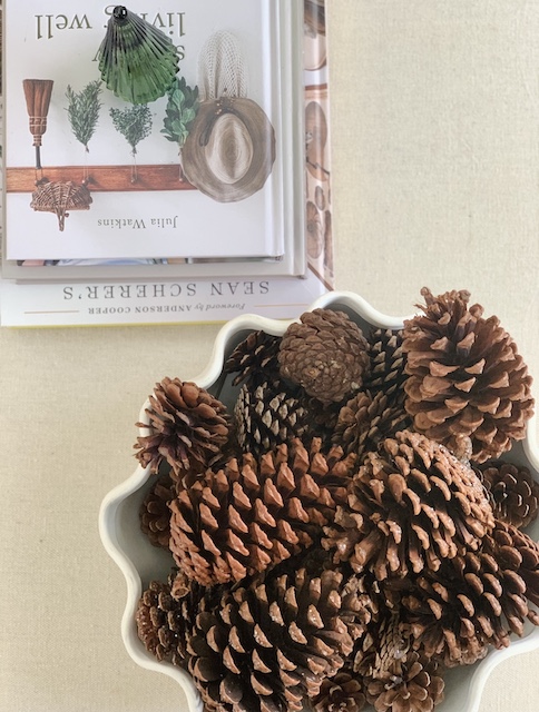 pinecones in a dish
