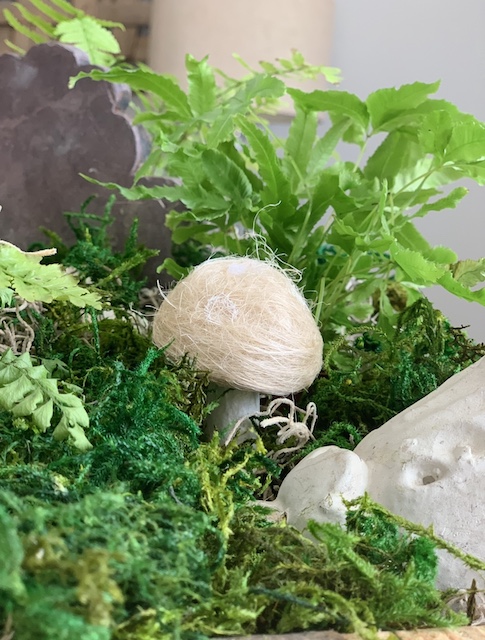 a close up of the mini mushroom