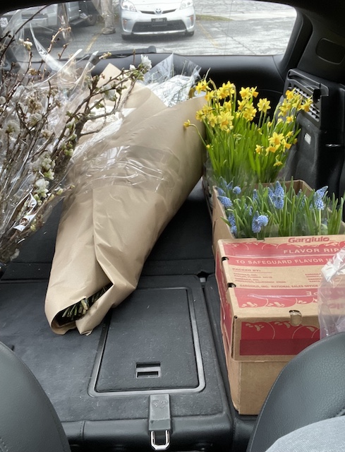 flowers in the back seat