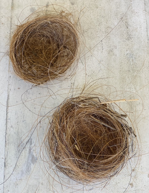 two horsehair birds nests that I got for my Simple Spring Garden Cloche 