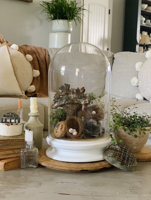 the simple spring garden cloche on the coffee table
