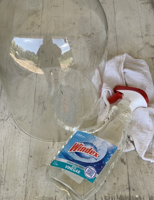 windex used to clean the glass