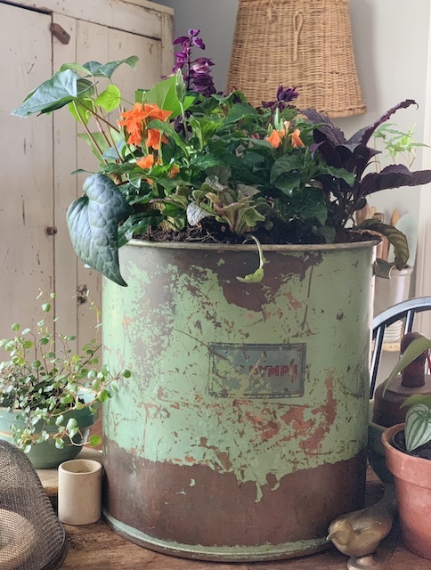 vintage garden container on the tables