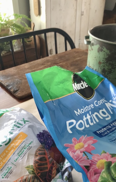 potting soil that I used for the vintage container garden