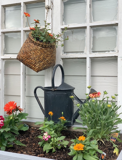 a basket hanging with flowers above the window