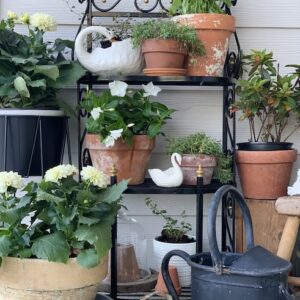 showing off the watering cans in this Rusty Plant Stand Makeover