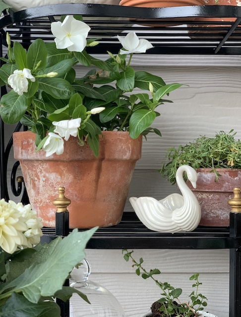 showing the swans that I used for my Rusty Plant Stand Makeover