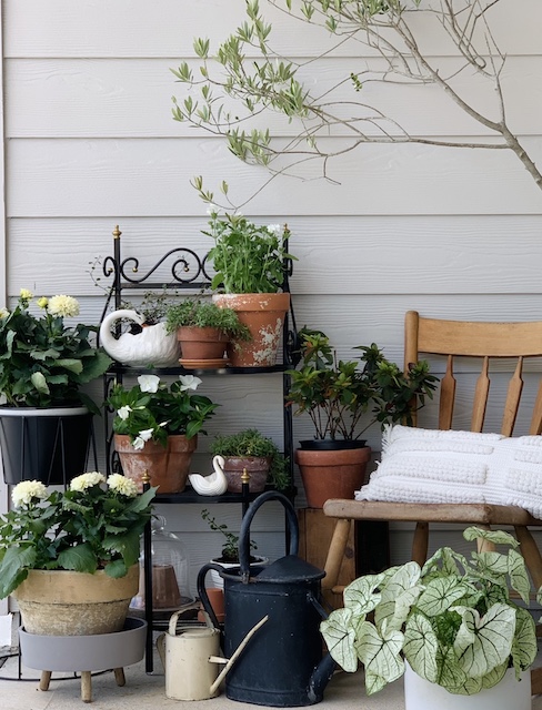 a sweet view of the rusty plant stand makeover