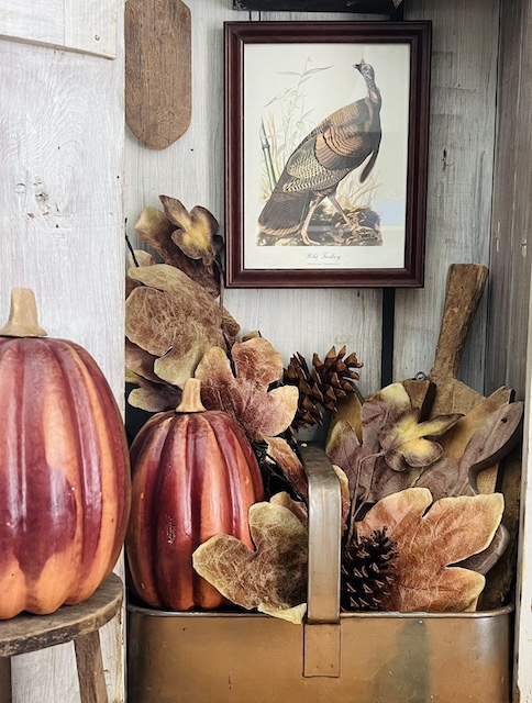 fall photo in a cupboard
